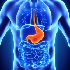 Weight Loss Surgery